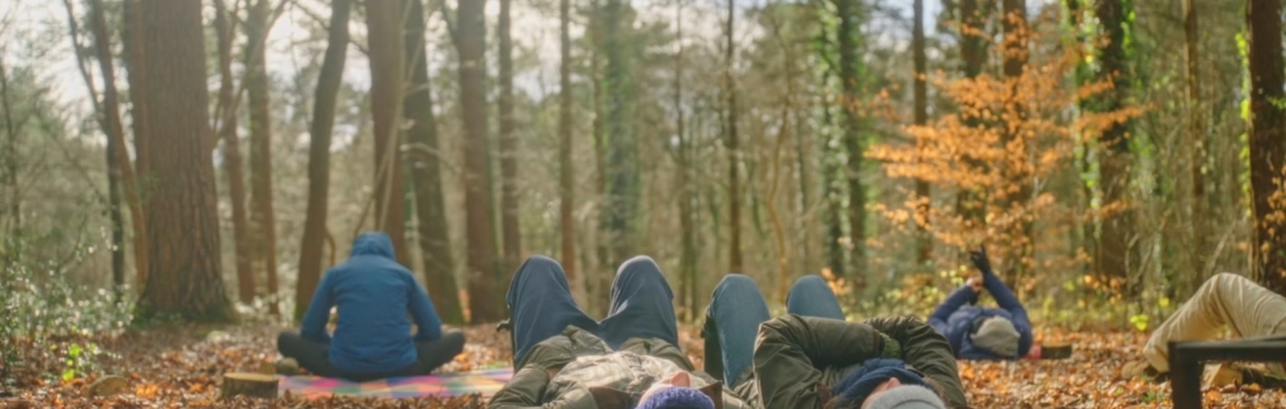 Group of people peacefully lying in the woodland