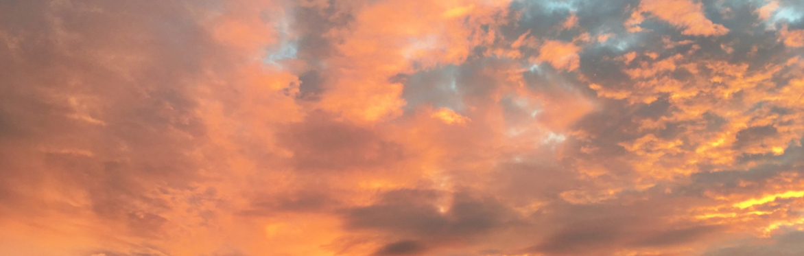 Waking From The Dream -  Tejananda meditation weekend