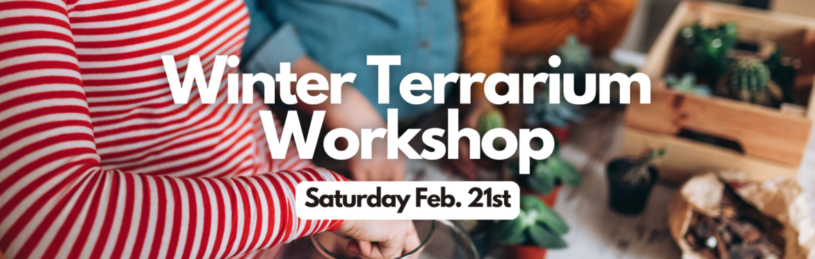 Winter Terrarium Workshop