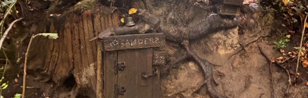 Into the Hundred-Acre Wood: Queering Space in Children’s Literature