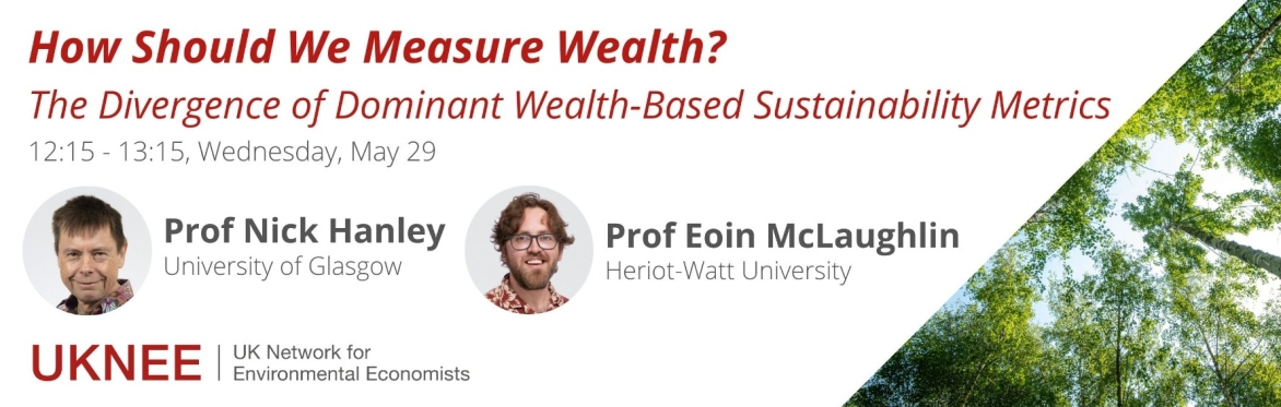 How Should We Measure Wealth? The Divergence of Dominant Wealth-Based Sustainability Metrics