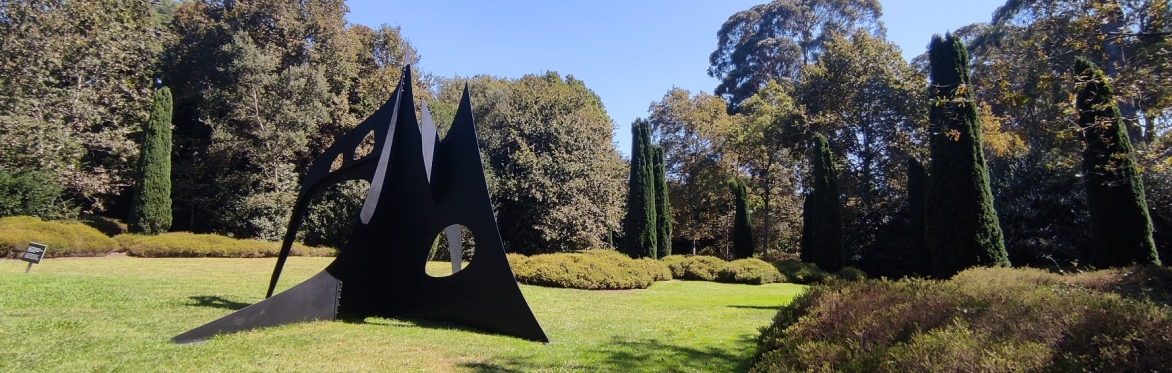 Serralves behind the scenes