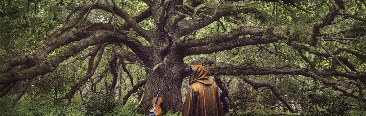 Frozen Light present: The Ancient Oak of Baldor