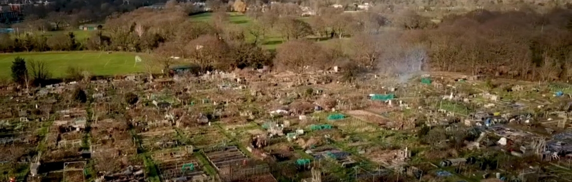Dulwich Society visit to Grange Lane Allotments, SE21 7LH - 3pm, Sunday 7th July 2024