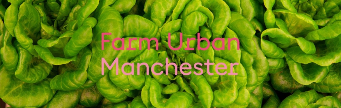 Farm Urban Manchester Open Day - 13th March