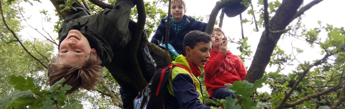 Saltaire Summer Holiday Forest School 25-26 August - SOLD OUT