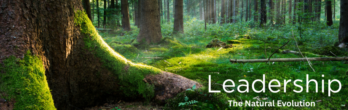 Leadership - The Natural Evolution