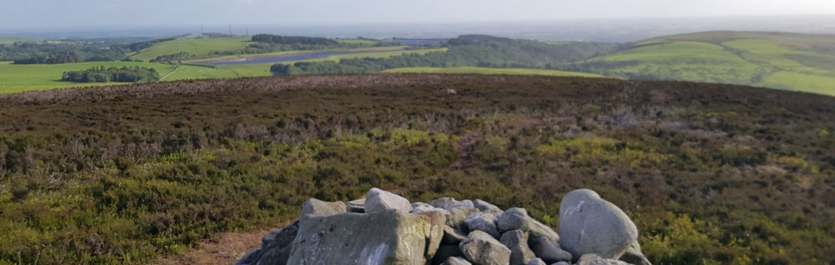 Grizedale Brook and Reservoir Amble