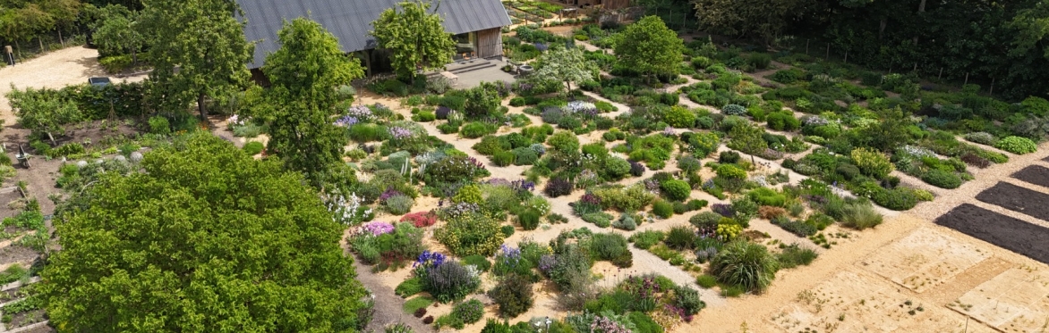 The Serge Hill Plant Fair 2026
