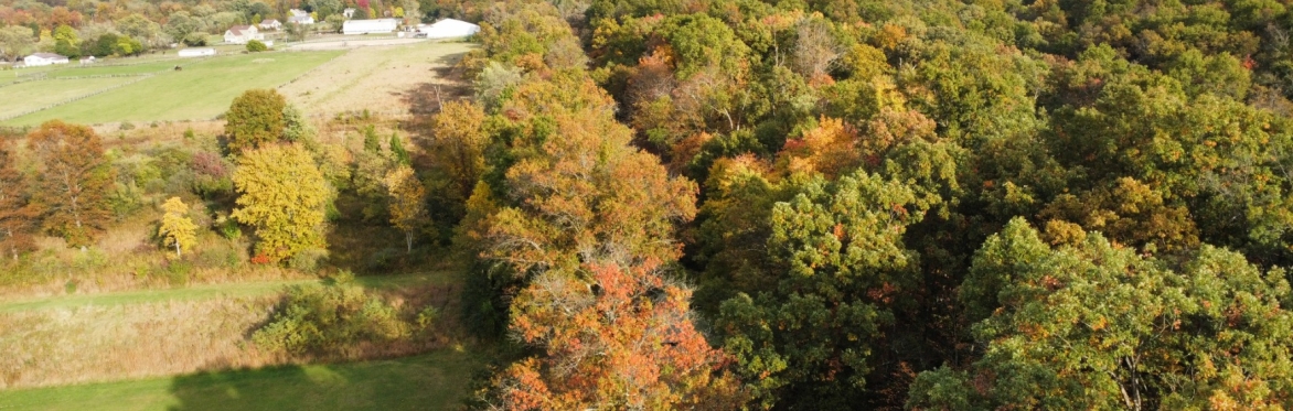 4-day Peak Leaf Season Cumberland Bikepacking Loop!