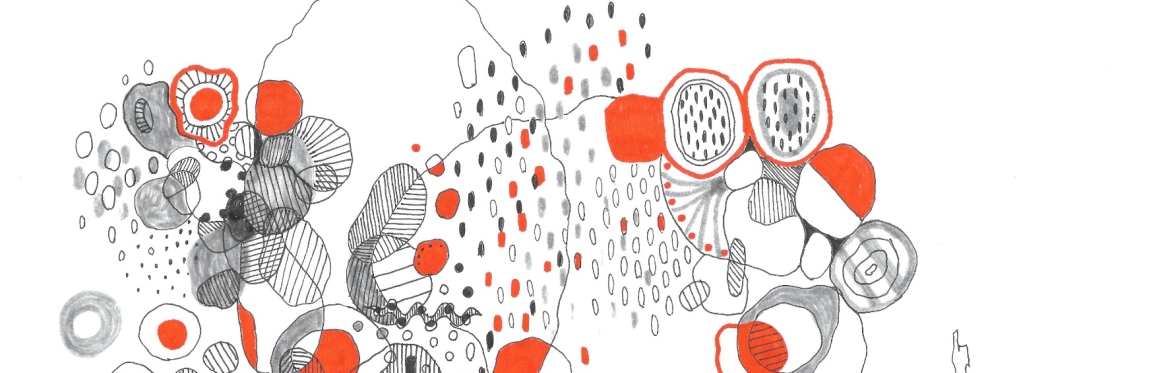 Draw to Explore with Wallis Eates