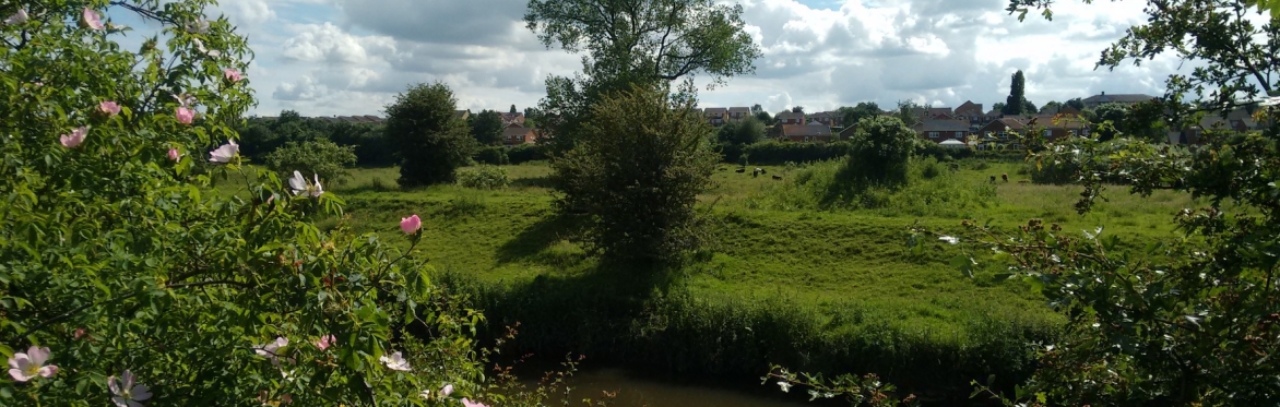 Woodhouse Washlands by Nabil Abbas