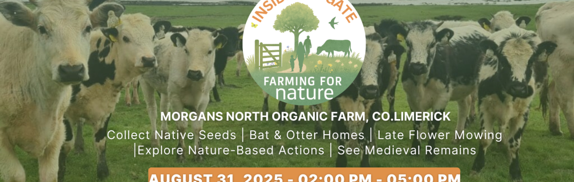Inside The Gate: Morgans North Organic Farm, Co.Limerick