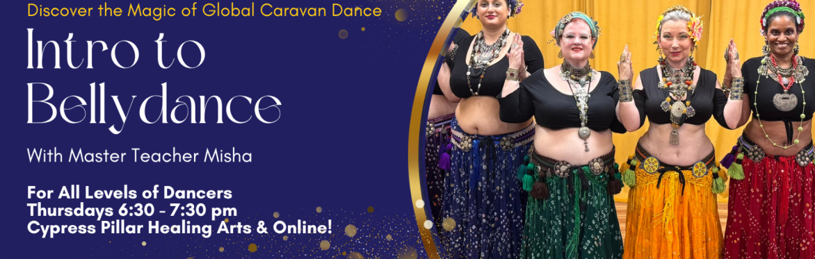 Intro to Global Caravan Bellydance with Misha Thursdays 6:30 pm Sarasota Florida or virtually online