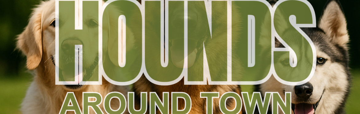 Hounds Around Town