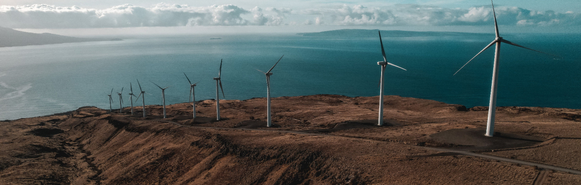 Energy Blindness
