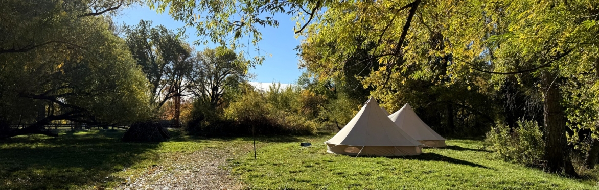 Farm to Mat: A Weekend Yoga Retreat with Amy Ippoliti in Boulder, CO