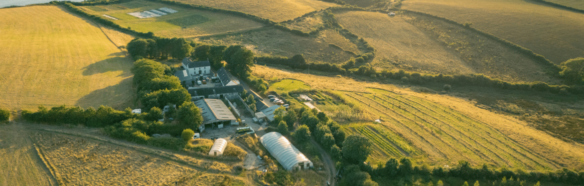 Dathliad Cynhaeaf | Harvest Celebration 2026