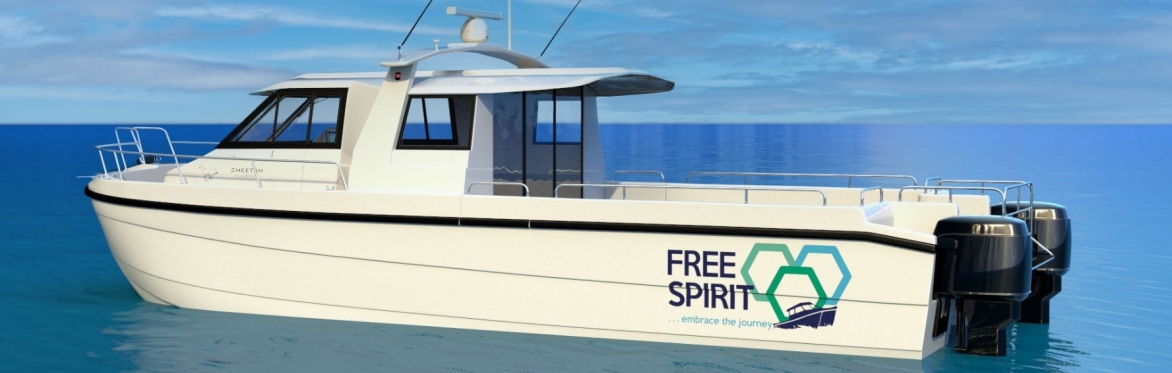 Free Spirit - Barn dance