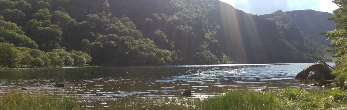 Nourish Your True Nature - Day Retreat