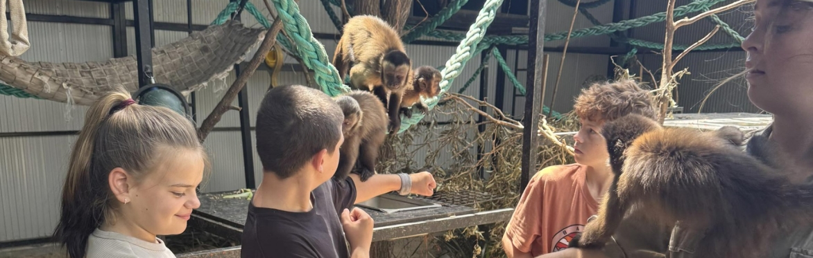 Capuchin Monkey Encounter