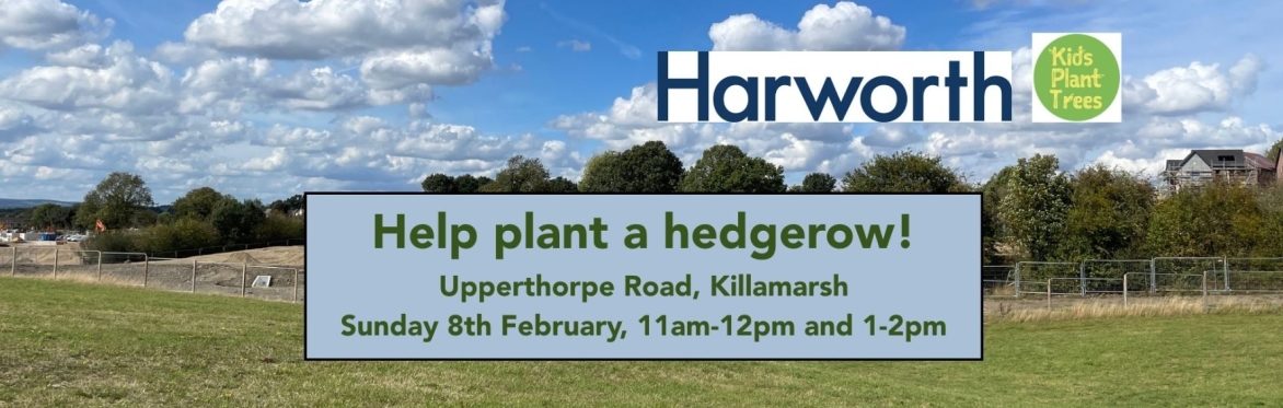 Community tree planting event in Killamarsh