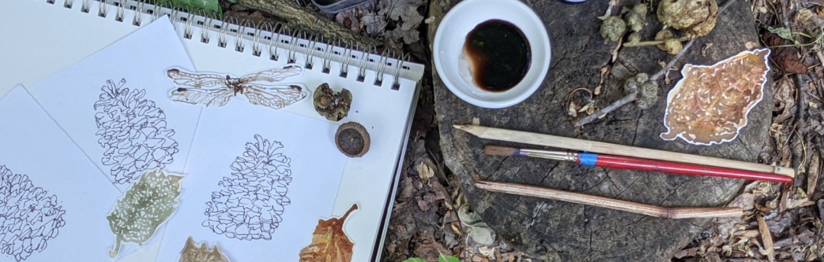 Woodland Windfall: Drawing with Nature