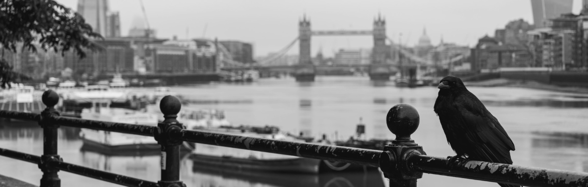 A black and white photo of a crow perched on some railings overlooking the Thames, tower bridge and the walkie talkie, the shard and boats in the background.