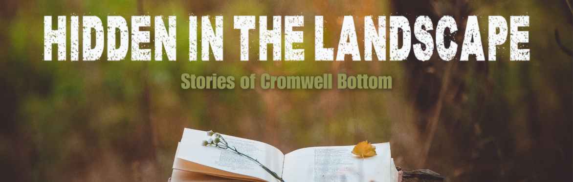 Hidden in the Landscape - Stories of Cromwell Bottom