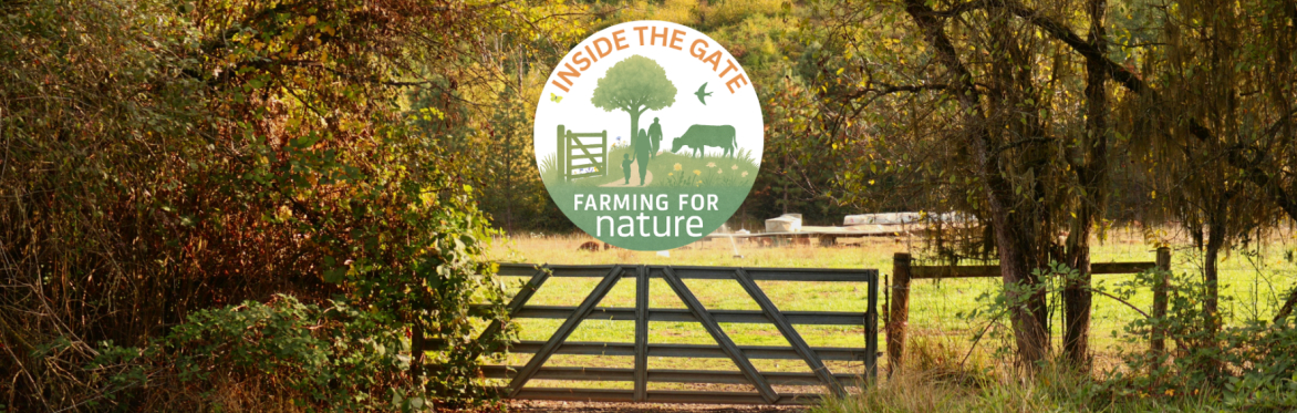 Inside the Gate: Colm Gavin's Farm, Co. Mayo