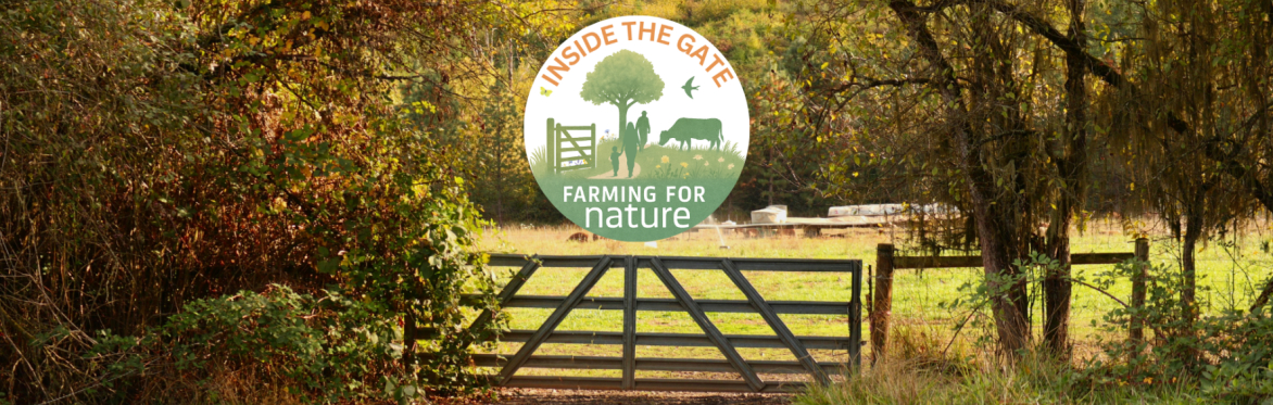 Inside the Gate: Glasrai Organic Farm, Co. Mayo (Morning)