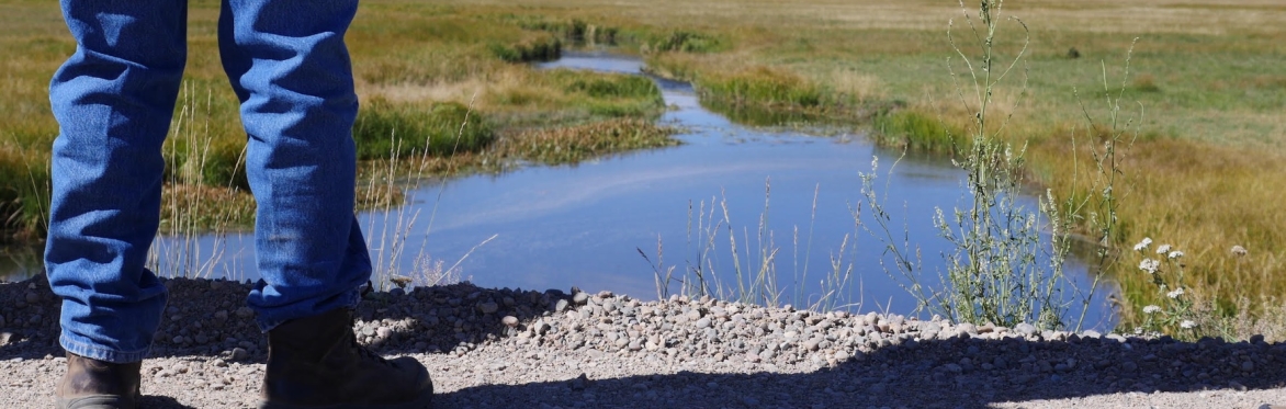 man standing near a meandering stream