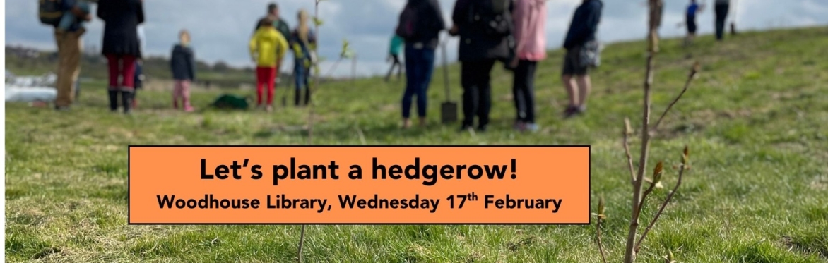 Help plant a hedgerow at Woodhouse Library, Sheffield!