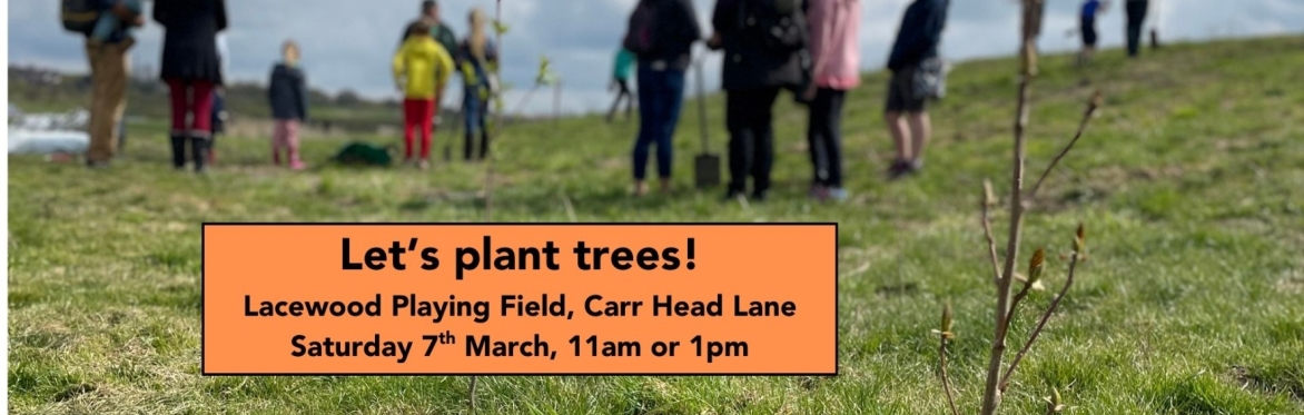 Community tree planting in Lacewood, Barnsley