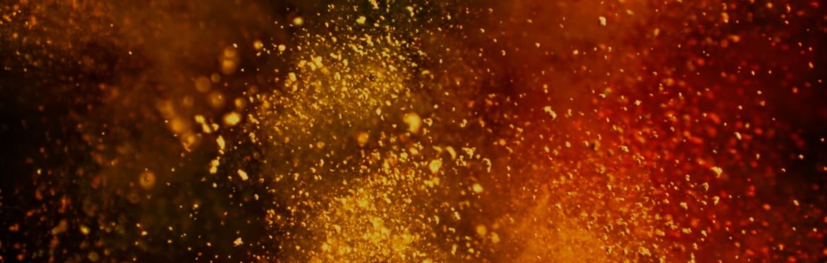 Advent Retreat: Disrupted by Grace