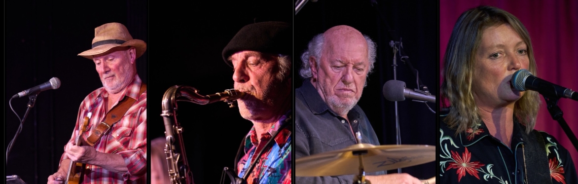 The Hoodle in Concert
