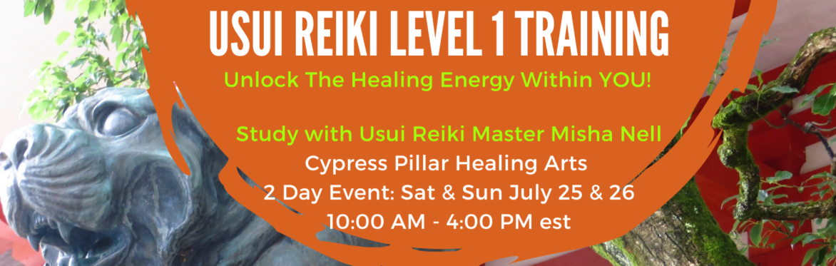 Usui Reiki Level 1 Training * 2 Day Immersion with Reiki Master Misha Nell