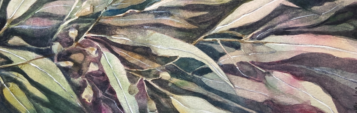 Botanicals in Watercolour and mixed Media: Negative Painting