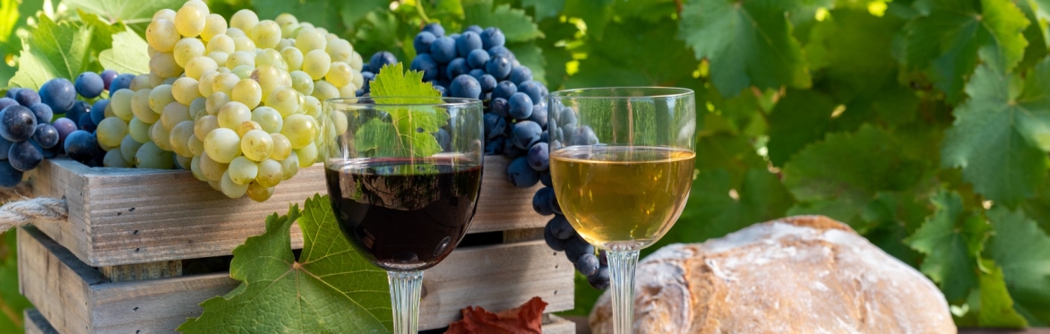 A glass of red and white wine with bread and grapes