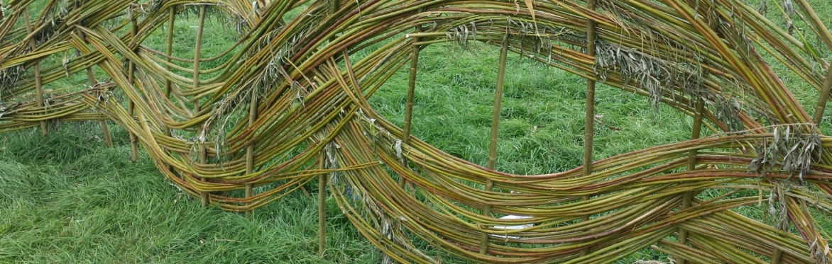 'Rooted in Willow' - A Practical Living Heritage Skills Project