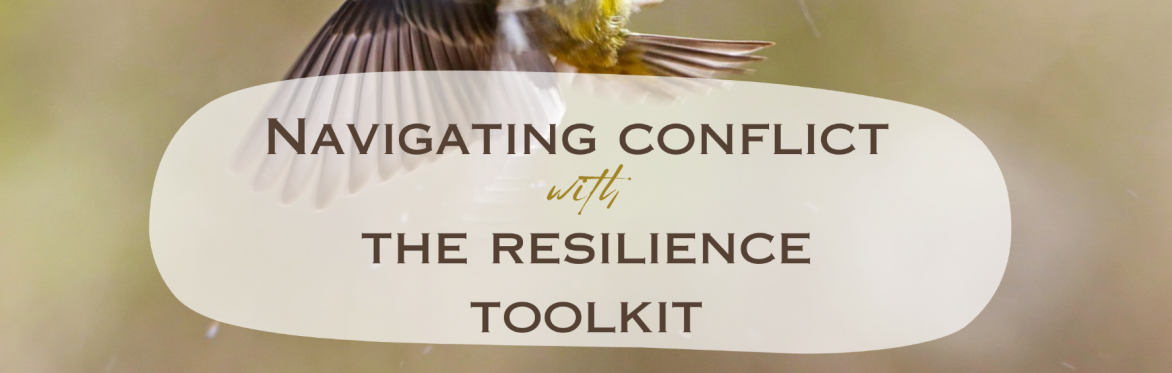 Navigating Conflict with the Resilience Toolkit