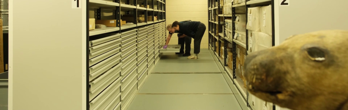 Artist Talk: Bojan Fajfrić at University of Aberdeen