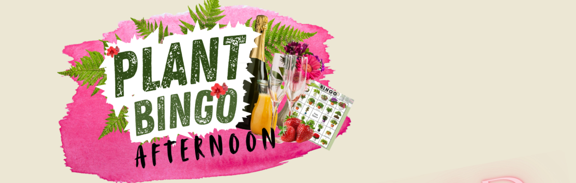 Plant Bingo Afternoon