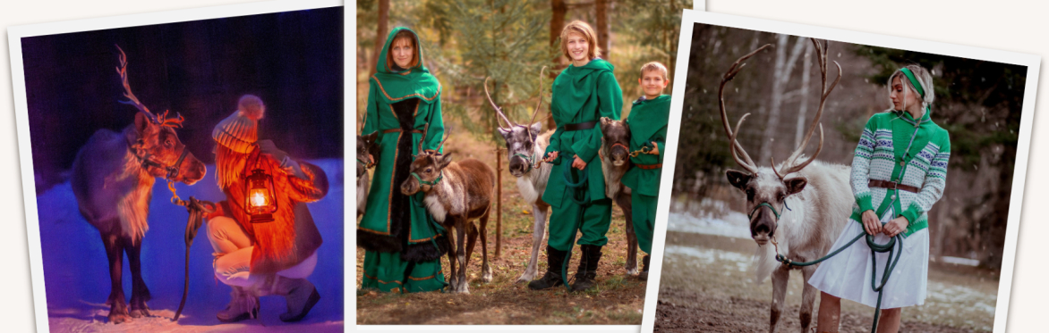Reindeer Tales & Trails