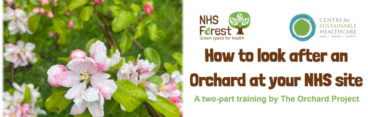 How to look after the Orchard at your NHS site
