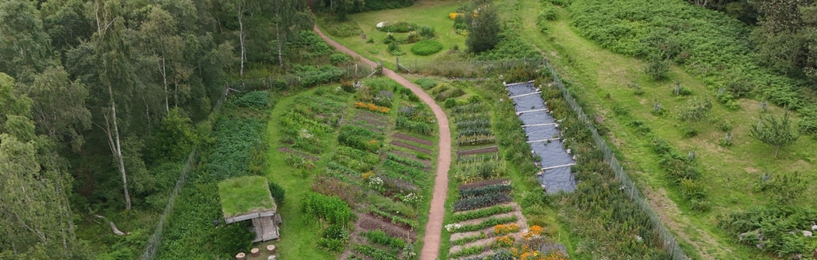 Sustainable spaces for nature and food: Fairhill Rise site visit