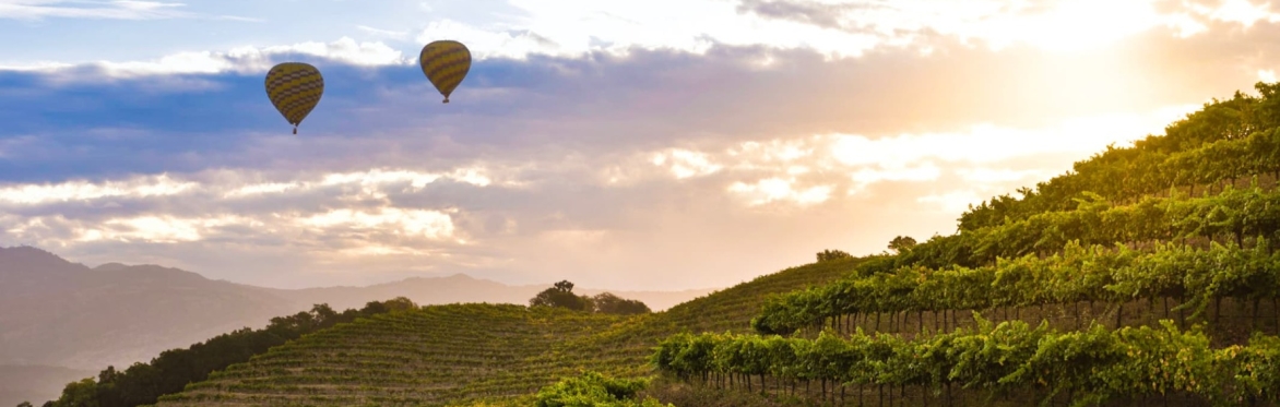 Napa Valley and beyond, with Head Sommelier Shirley Tan