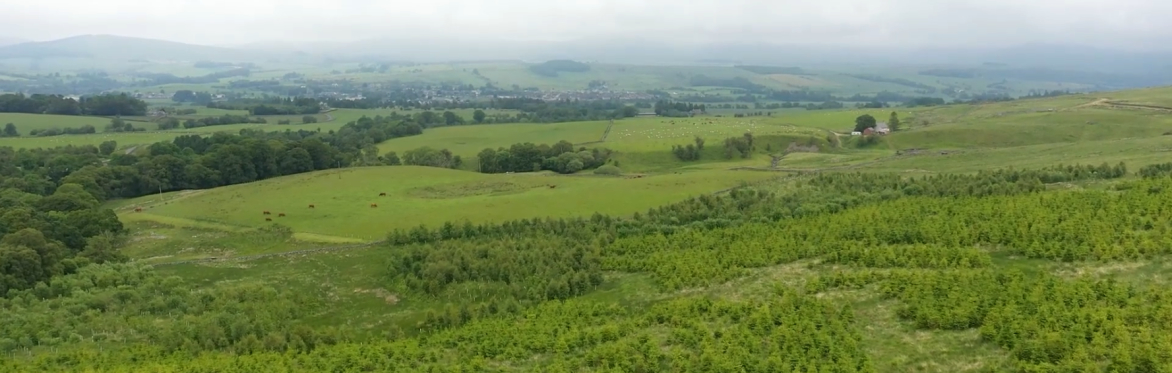 What Worked, What Didn't and What We'd Change: Farmers Share Their Tree Planting Experiences