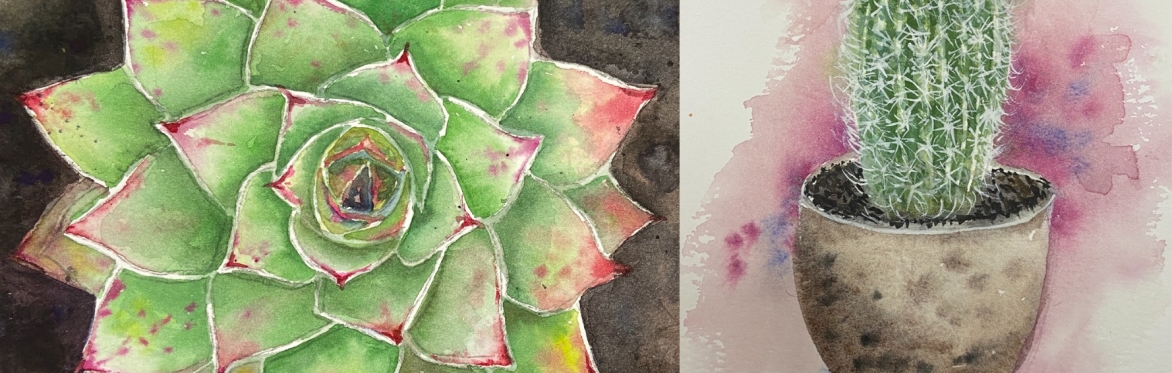 Watercolour Succulents and Cacti