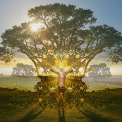 The Broughton Immersion: Rewild Your Spirit